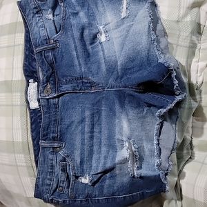 Torrid denim shorts